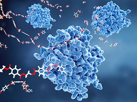 Enzymes are the engines of life − machine learning tools could help scientists design new ones to tackle disease and climate change
