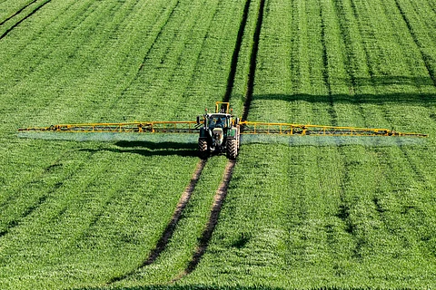 Pesticides likely affect 800 non-target species by disrupting growth, behaviour: Study