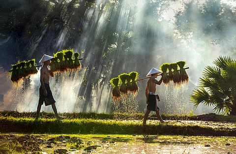 2nd Food Systems Summit Stocktake to unlock investments for food systems transformation