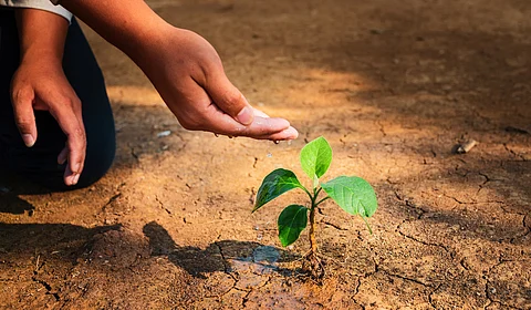 Restoring land, restoring peace: How sustainable land management can ease global conflicts