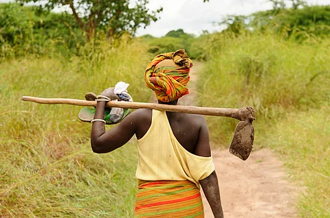 Climate shifts are already affecting crop yields and livelihoods in Africa
