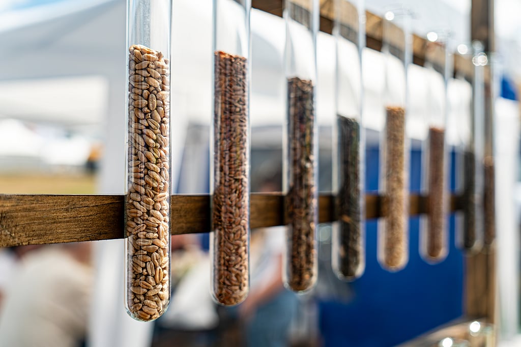 Gene Bank Examples India's New National Gene Bank: A Step Towards Food Security Amid ...