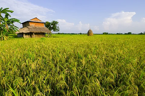 Food security must prioritise Indigenous knowledge over corporate control