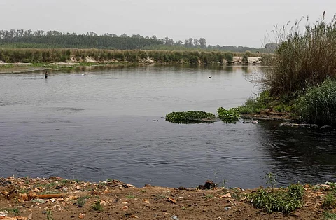 Buddha Nullah, a 40-km stream flowing through Ludhiana into the Sutlej, is heavily polluted with industrial effluents and municipal waste, turning black with a foul odour. 