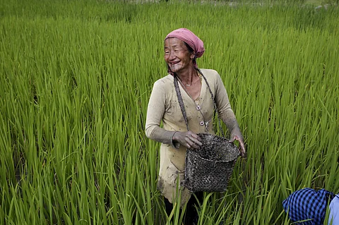 A landmark people’s plan, will Arunachal’s biodiversity strategy set a national example?