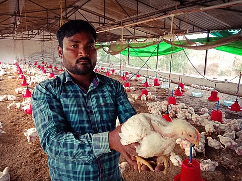Contract farming not fair trade, less profitable for smallholders in Punjab: New study