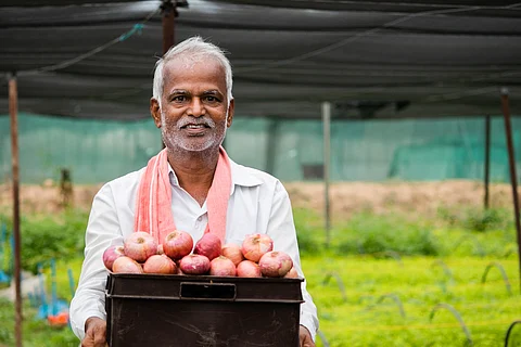 Much-awaited relief for onion farmers: Centre removes export restrictions 