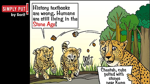 Simply Put: Stone Age humans