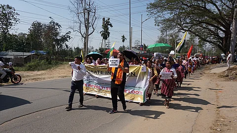 Is ADB-funded Assam solar park ‘green grabbing’ indigenous land?
