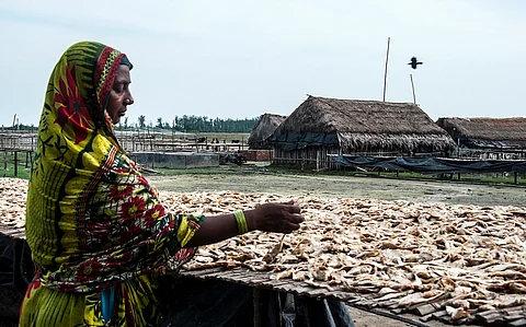 Prevention, a key component of FAO’s recently released Guidelines for Sustainable Aquaculture
