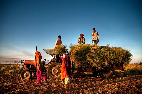 India’s agricultural future hinges on a delicate balance between global trade integration and domestic food security
