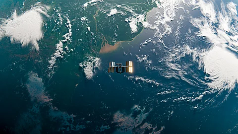 Satellite data is  a powerful tool for conservation of species and habitat suitability monitoring
