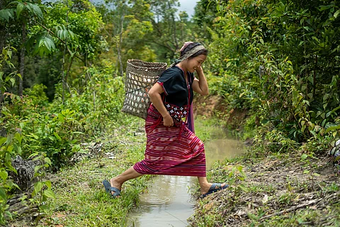Lack of clear laws around carbon rights may lead to exclusion of Indigenous peoples from forest carbon projects 