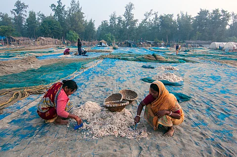 Access to information and timely adoption of technology holds key to effective utilisation of resources in Indian aquaculture 