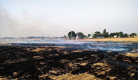 Madhya Pradesh: Strict action against stubble burning, fines worth Rs 16 lakh imposed in Indore alone
