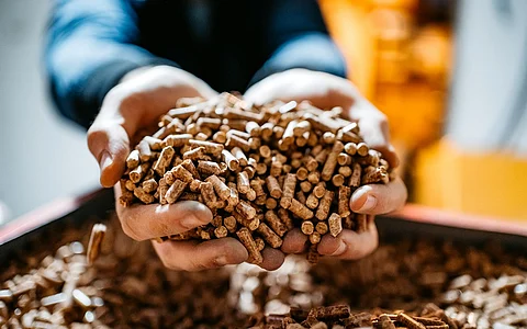 Europe should include biomass in its energy system to save €169 billion annually, study urges
