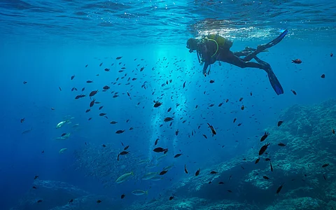New initiative launched to revive oceans through community-led protection