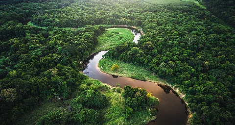 Non-profits, indigenous peoples’ groups raise concerns over proposed Tropical Forest Finance Facility expected to be launched at Belem