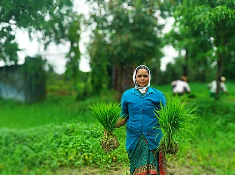 Centre releases guidelines for setting up bio-resource centres to aid natural farming transition
