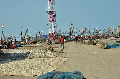 The dried fish is an essential product not only for local consumption but also for export to other parts of India and abroad, particularly in markets where fresh fish may not be readily available. 