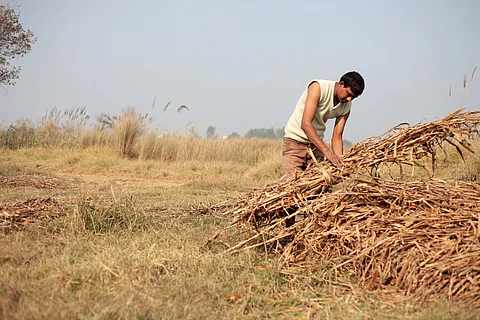Madhya Pradesh’s biofuel scheme: Significant step for upscaling CBG sector in state