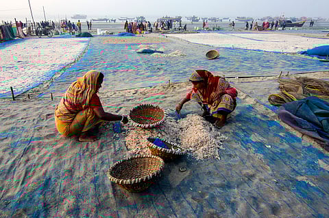 Coastal States Fisheries Meet 2025: 5th fisheries census launched, aqua insurance unveiled