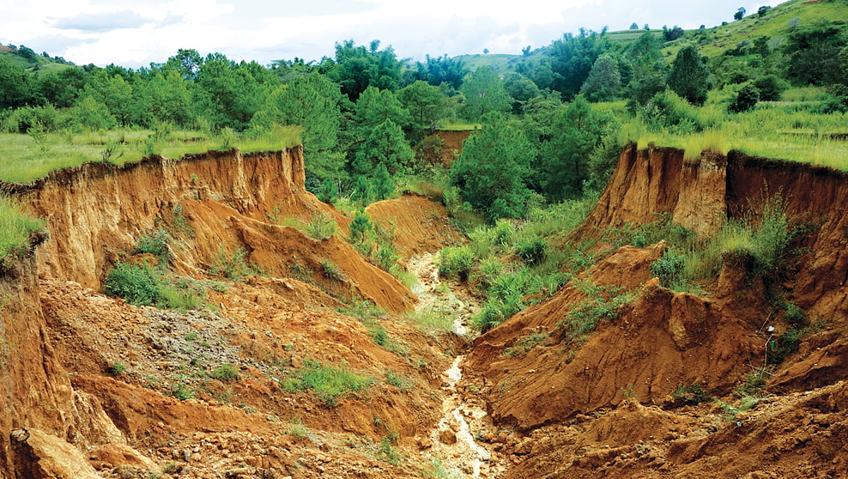 Gully Gully Erosion Crisis: Threatening Global Landscapes and Sustainable Goals