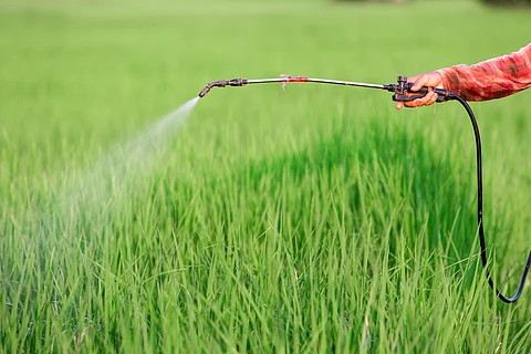 Rotterdam Convention deadlocked on chlorpyrifos as countries resist transparency in hazardous pesticide trade
