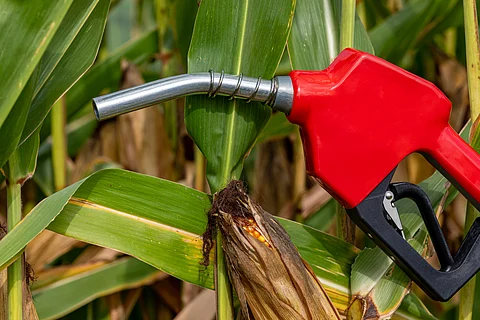 Centre approves additional 2.8 million tonnes of FCI rice for ethanol production