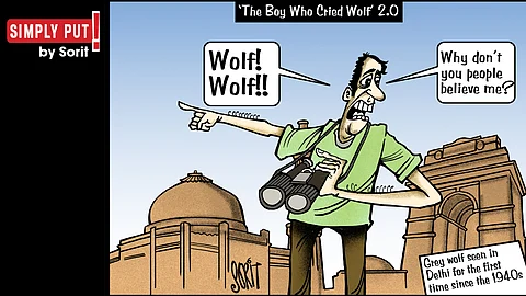 Simply Put: Wolf!
