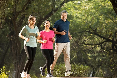 Daylight can boost the immune system’s ability to fight infections: New study
