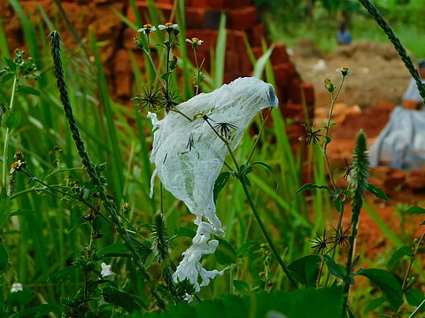 Africa’s fight against plastic pollution gathers pace as Uganda bans single-use carrier bags
