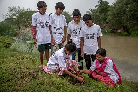 Green scouts planting saplings in coastal Bengal. 