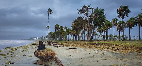 2024 was hottest year on record for South-West Pacific, says WMO report
