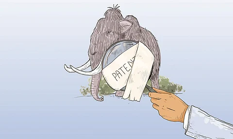 The mammoth in the patent system 