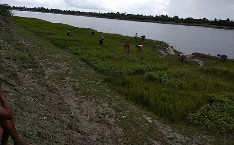 Mangroves can mitigate cyclones and floods in Eastern India, especially Odisha and West Bengal