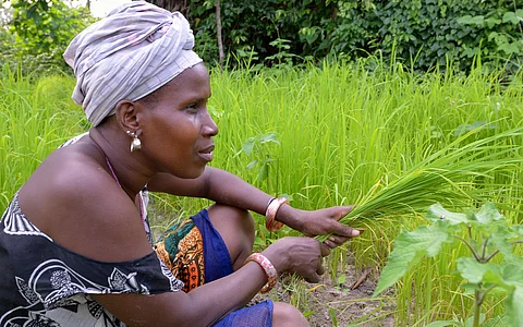 African women entrepreneurs are a smart bet for climate change investment: research shows why