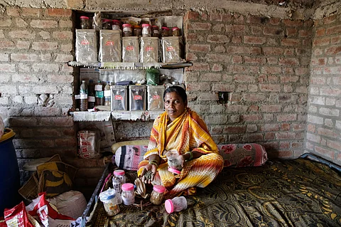 Seed saviours: Madhya Pradesh’s movement for community led seed saving