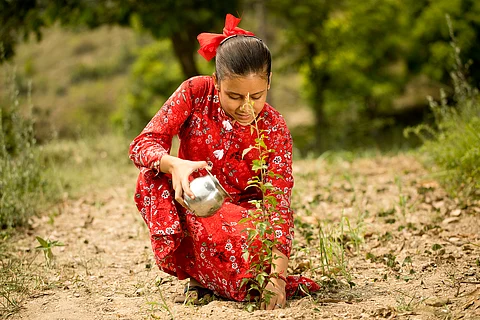 India's seed saviours: Will the next generation save our seeds?