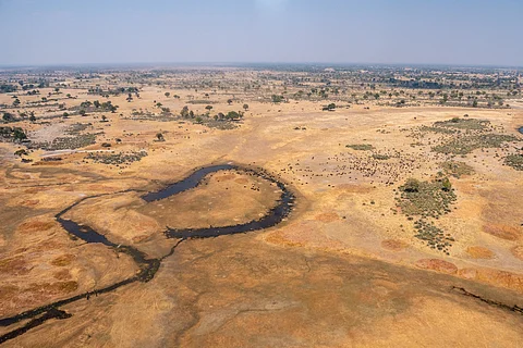International Day to Combat Desertification and Drought 2025: Degraded land the size of South America at risk. Restoration can pay big