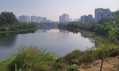 Gurugram has revived its Wazirabad lake. Can it replicate this success with other water bodies? 