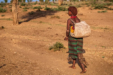 Three of five global hunger hotspots of highest concern in Africa: UN 