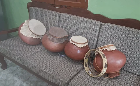 Ghumot, the keeper of cultural past: How conservation of Indian monitor lizard has sparked an aesthetics debate on folk music