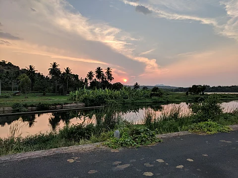 Shivanasamudram fish sanctuary.