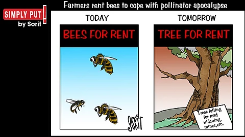 Simply Put: Renting bees