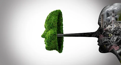 Misinformation biggest barrier to climate action, report warns