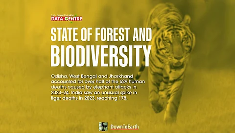 State of India’s Environment in Figures 2025: Human fatalities due to elephant depredations increase, those due to tiger attacks reduce