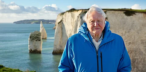 ‘Ocean’ by David Attenborough serves as a call to action