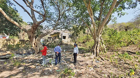 The Chudasidh Adavad oran in Rajasthan’s Alwar district is being revived since 2010. It now serves as a pasture for more than 2,000 animals in Sirawas village in the district