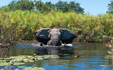 Africa’s wetlands among the most degraded in the world: 2025 Global Wetland Outlook